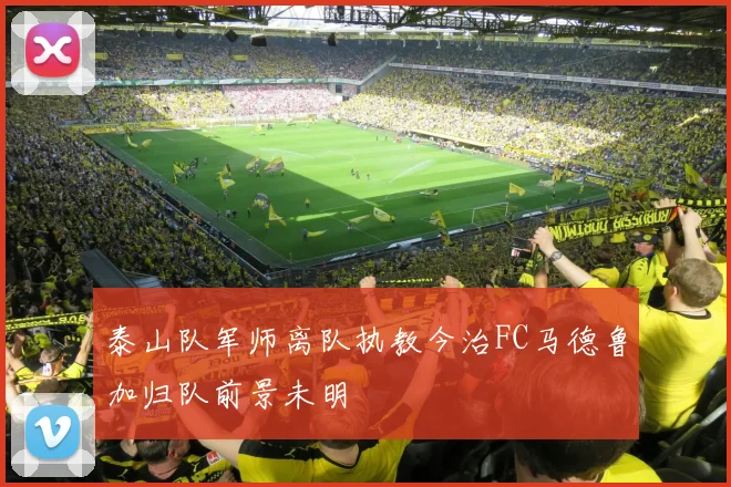 泰山队军师离队执教今治FC马德鲁加归队前景未明